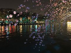 -运河游船(武林门码头)