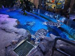 -海合安青岛极地海洋公园