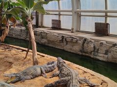 -石家庄市动物园