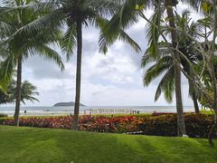 -元素中餐厅.海南菜.粤菜.椰子鸡.海鲜.包房.石梅湾威斯汀度假酒店