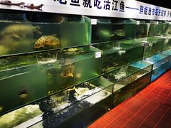 水产区-胖姐渔村(中源大道店)