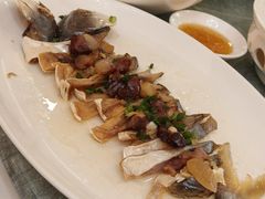-黄埔华苑酒家(黄埔总店)