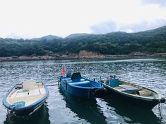 -东澳岛
