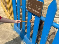 -观澜山水田园