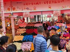 -越秀西湖花市(广州城市广场花卉店)