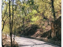 -北京鹫峰国家森林公园