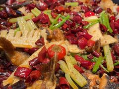 -老板恋上鱼(印象城店)