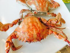 -海天一色海景自助餐厅(西港花园店)