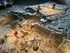 -自贡恐龙博物馆