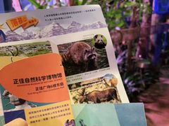 -正佳雨林生态植物园