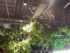 -翁家大院(西美·五洲天地店)