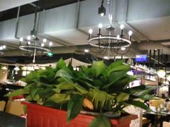 -绿茵阁(体育西分店)