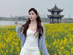 -杭州湾海上花田景区