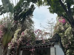 -深圳国际园林花卉博览园