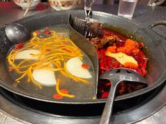 -朱光玉火锅馆(龙阳广场店)