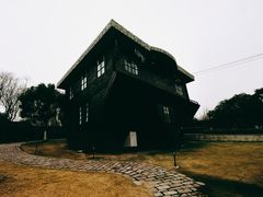 -金山农民画村-枫泾波兰倒置屋
