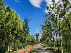 -永定河休闲森林公园