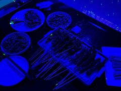 -唯爱KTV聚会餐厅(仙林东城汇店)