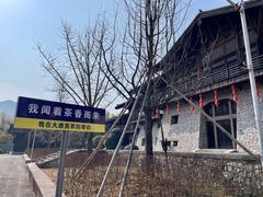 -大唐贡茶院