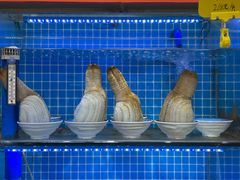 -前王院•巧克力海鲜市集餐厅(万平口店)