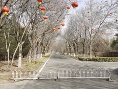 -大明幻境第一城