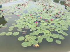 -河北村民俗体验园