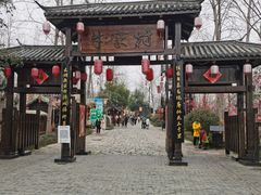 -合肥滨湖国家森林公园