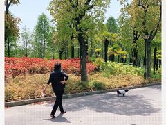 -上海长兴岛郊野公园