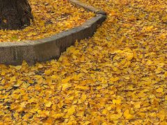 -Rabbit Cafe私房西餐甜点咖啡(栖霞路店)