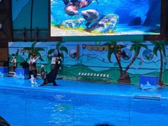 -石家庄市动物园