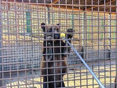 -水上乐园·欢乐世界