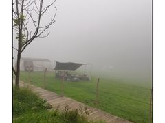 -武陵山森林公园