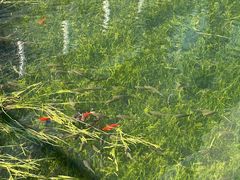 -西北湖绿化广场