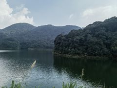 -广州市石门国家森林公园