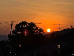 -黄贤森林公园