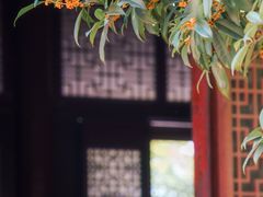 -西安大兴善寺