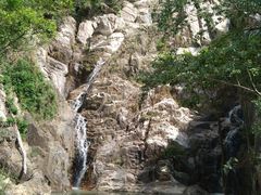 -海南霸王岭国家森林公园
