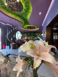 -花隐·美芙炫海菲秀皮肤管理中心