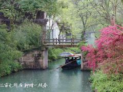 -西溪国家湿地公园