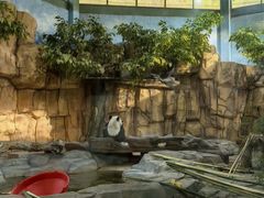 -泉州海丝野生动物世界