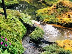 -Chom Cafe and Restaurant