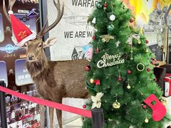 -都市枪神实弹射击俱乐部