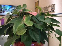 -万达广场(南京江宁店)