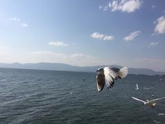 -抚仙湖禄充风景区