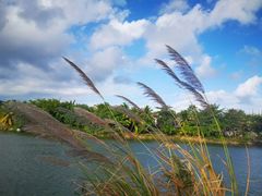 -三亚珠江南田温泉度假区