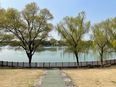 -东方绿舟景区
