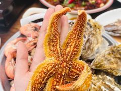 -单家老院·院子里的青岛菜(沙子口店)