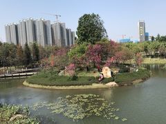 -映月湖公园