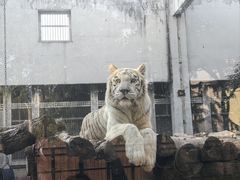 -武汉动物园