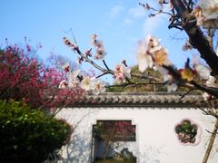 -无锡梅园公园